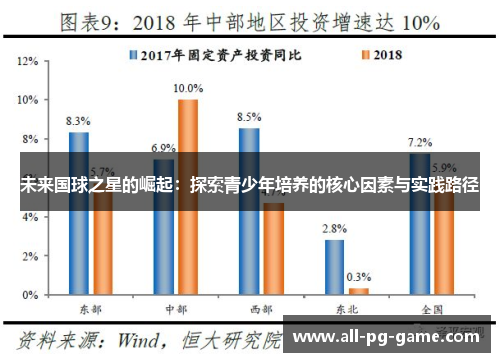 未来国球之星的崛起：探索青少年培养的核心因素与实践路径
