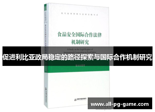 促进利比亚政局稳定的路径探索与国际合作机制研究