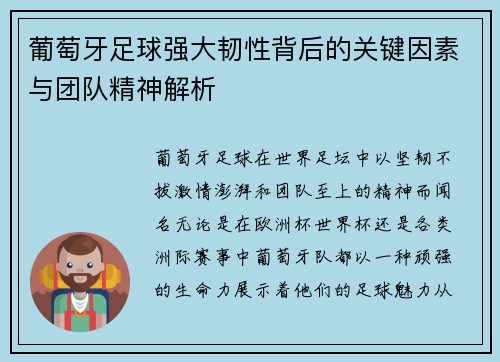 葡萄牙足球强大韧性背后的关键因素与团队精神解析