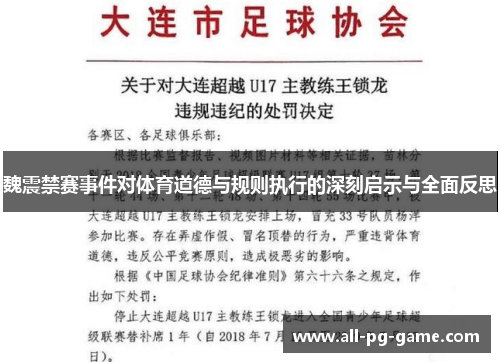 魏震禁赛事件对体育道德与规则执行的深刻启示与全面反思